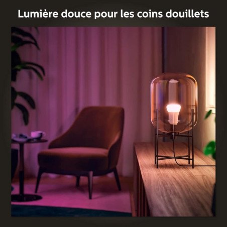 Philips Hue E27 Ampoule LED : 75W Ambiance & Contrôle Intelligent