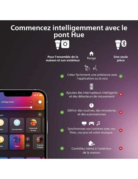 Philips Hue Dim Switch Télécommete nomade variateur de lumière V2